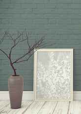 Betula Nana III